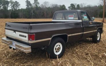 Chevrolet-ck-pickup-34-ton-1984-brown-21