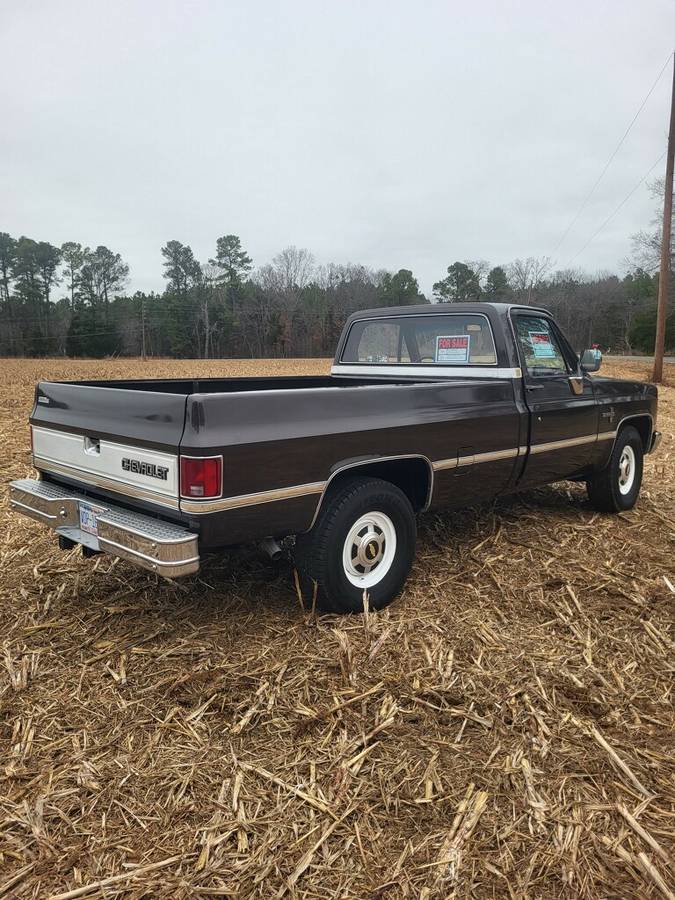 Chevrolet-ck-pickup-34-ton-1984-brown-21