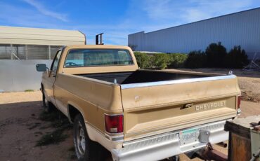 Chevrolet-ck-pickup-34-ton-nominal-1985-yellow-1