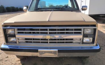 Chevrolet-ck-pickup-34-ton-nominal-1985-yellow-2