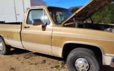 Chevrolet-ck-pickup-34-ton-nominal-1985-yellow-3