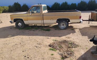 Chevrolet-ck-pickup-34-ton-nominal-1985-yellow
