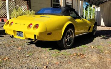 Chevrolet-corvette-1975-10