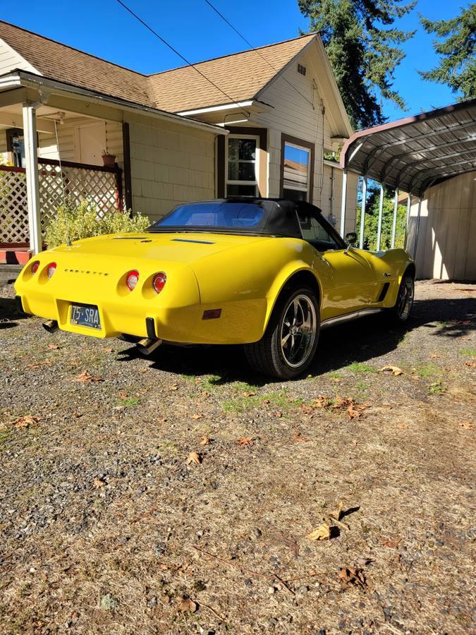Chevrolet-corvette-1975-10