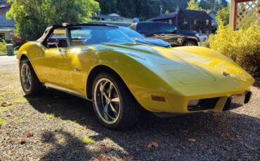 Chevrolet-corvette-1975-11