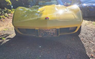 Chevrolet-corvette-1975-12
