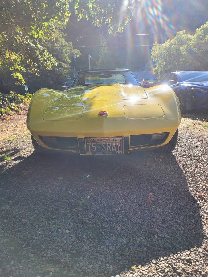 Chevrolet-corvette-1975-12
