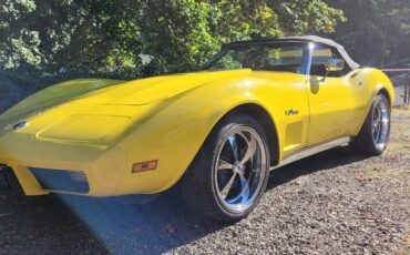 Chevrolet-corvette-1975-13