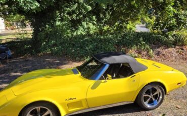 Chevrolet-corvette-1975-14