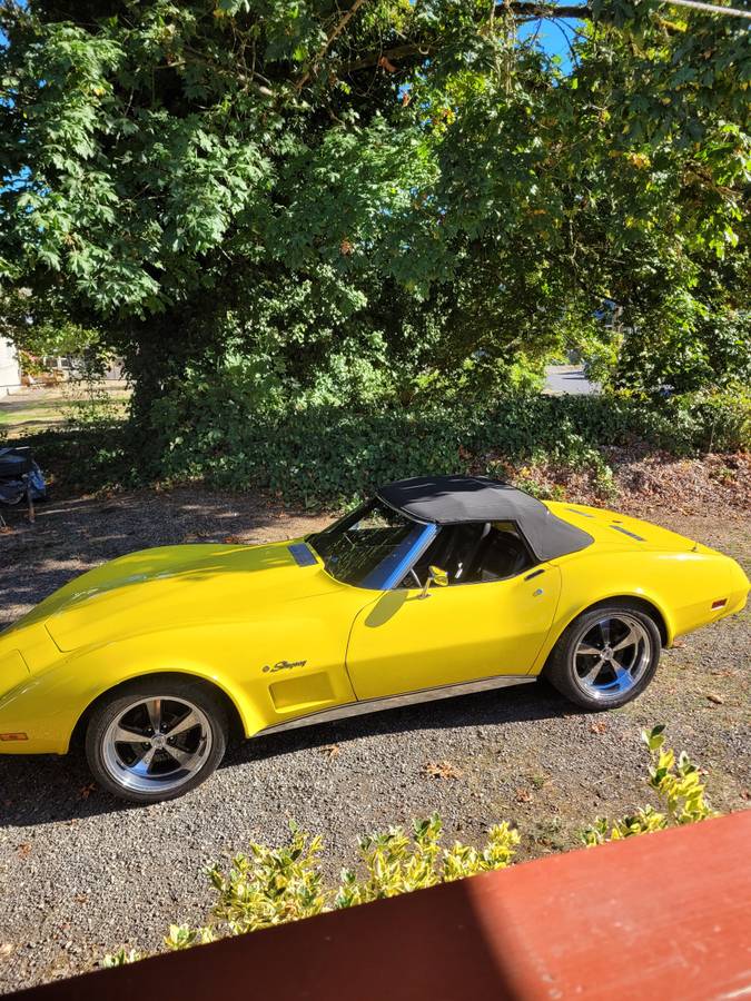 Chevrolet-corvette-1975-14