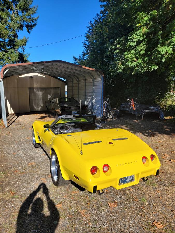 Chevrolet-corvette-1975-8