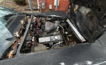 Chevrolet-corvette-1978-2