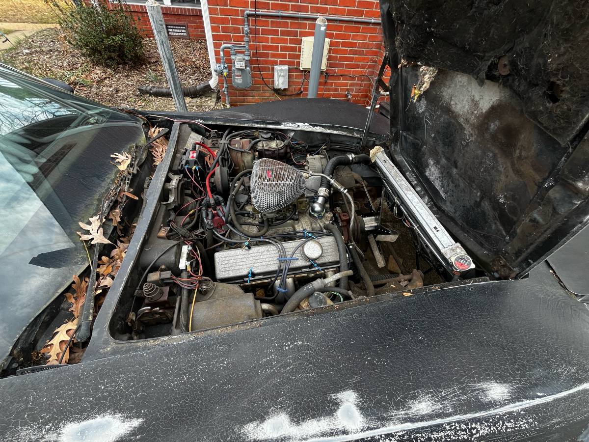 Chevrolet-corvette-1978-2