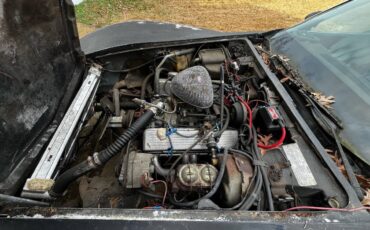 Chevrolet-corvette-1978-6