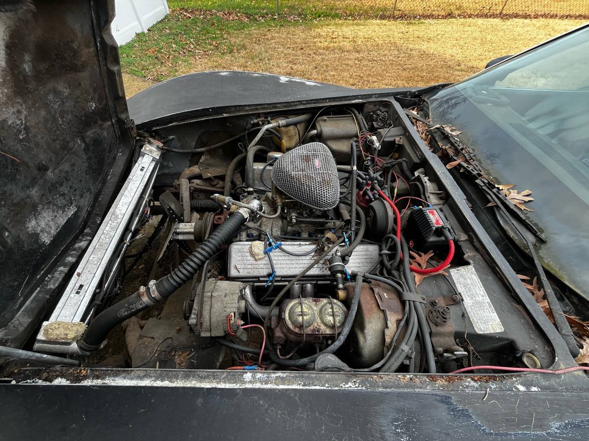 Chevrolet-corvette-1978-6