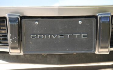 Chevrolet-corvette-1978-silver-6