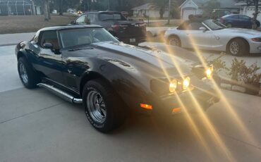 Chevrolet-corvette-1979-black-12