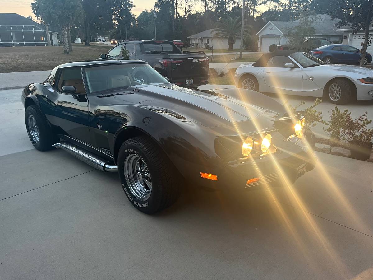 Chevrolet-corvette-1979-black-12