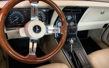 Chevrolet-corvette-1979-black-15