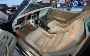 Chevrolet-corvette-1979-black-68