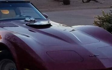 Chevrolet-corvette-1981-red-6