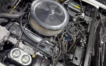 Chevrolet-corvette-1981-white-16