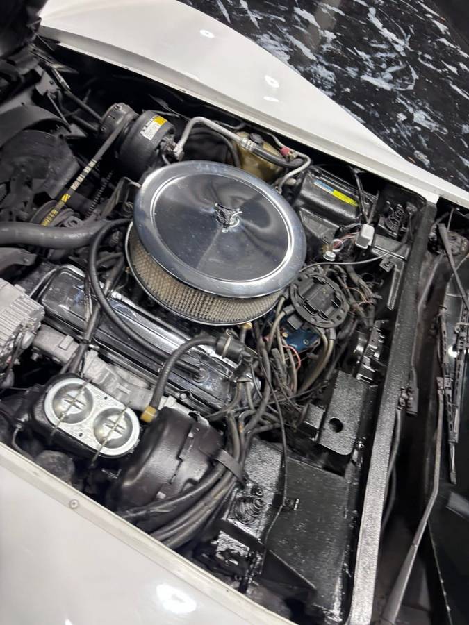 Chevrolet-corvette-1981-white-16