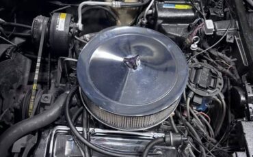 Chevrolet-corvette-1981-white-17