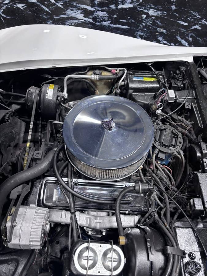 Chevrolet-corvette-1981-white-17