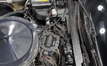 Chevrolet-corvette-1981-white-18