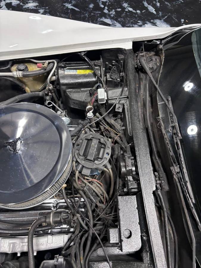 Chevrolet-corvette-1981-white-18