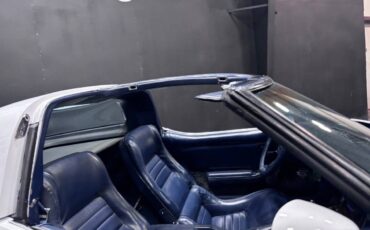 Chevrolet-corvette-1981-white-8