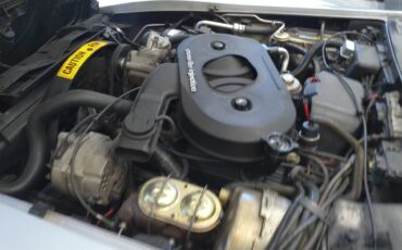 Chevrolet-corvette-1982-silver-7