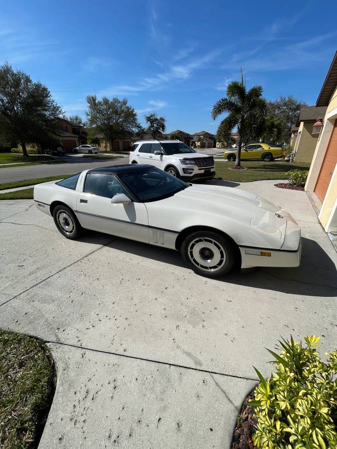 Chevrolet-corvette-1985-white-11