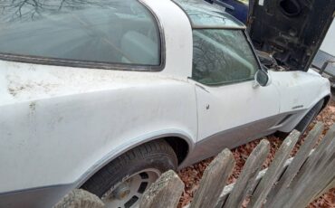 Chevrolet-corvette-coupe-1982-white-4