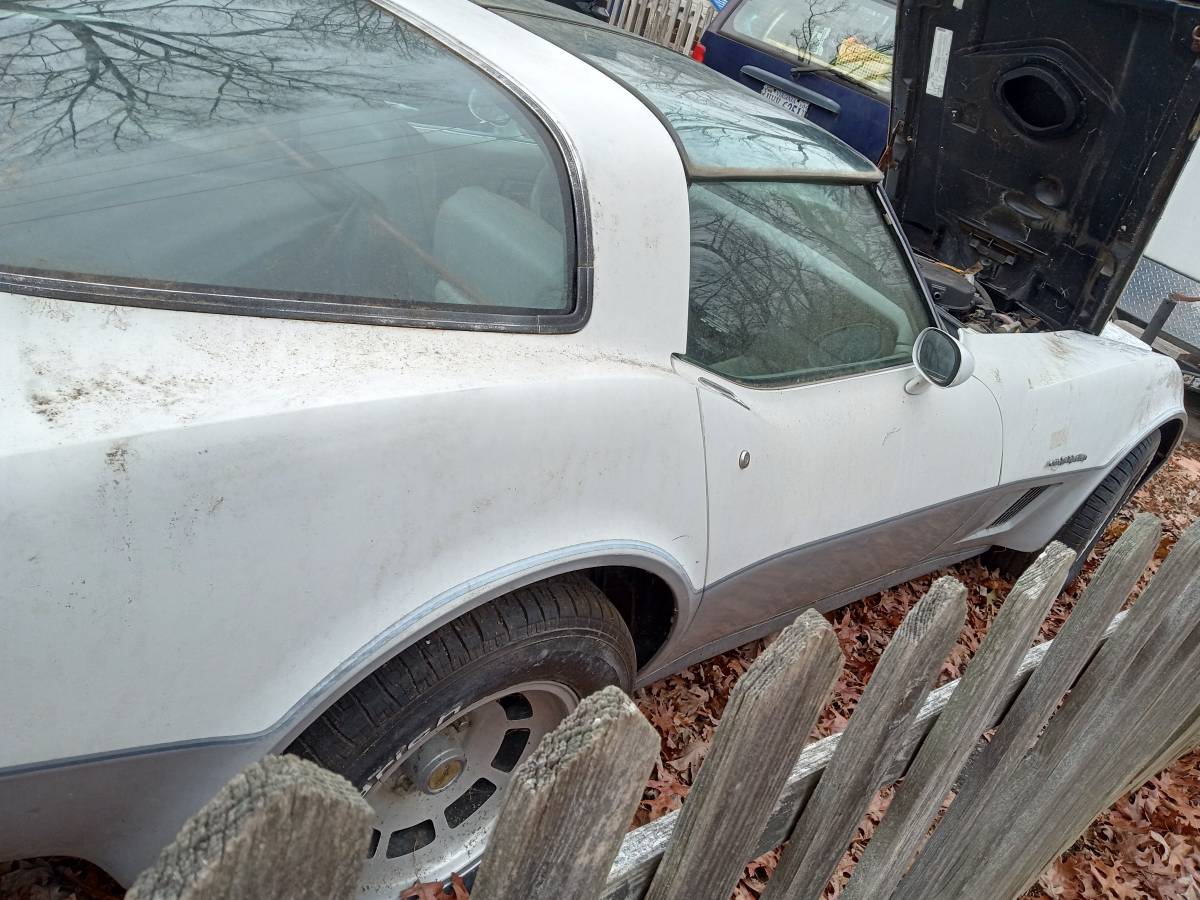 Chevrolet-corvette-coupe-1982-white-4