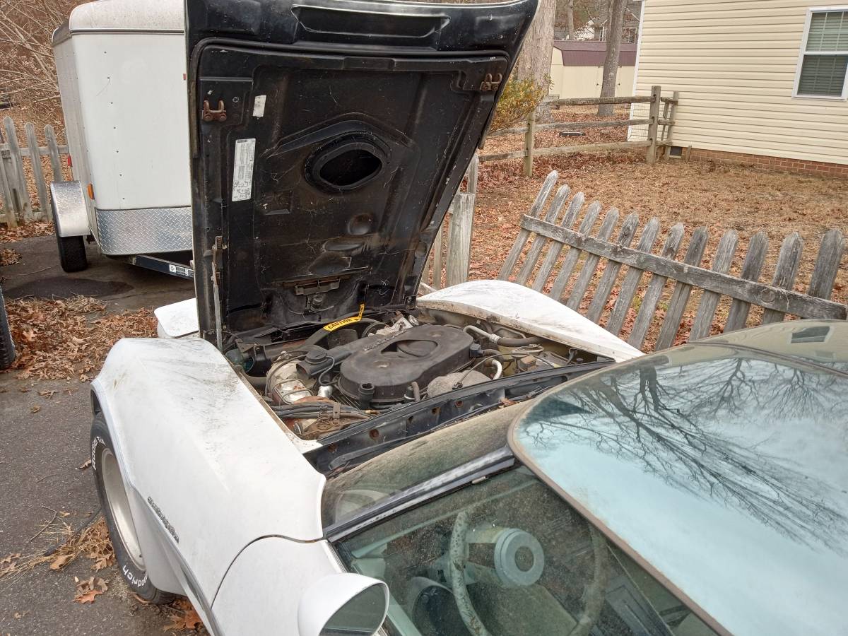Chevrolet-corvette-coupe-1982-white-6