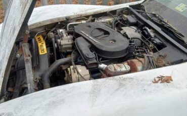 Chevrolet-corvette-coupe-1982-white-8