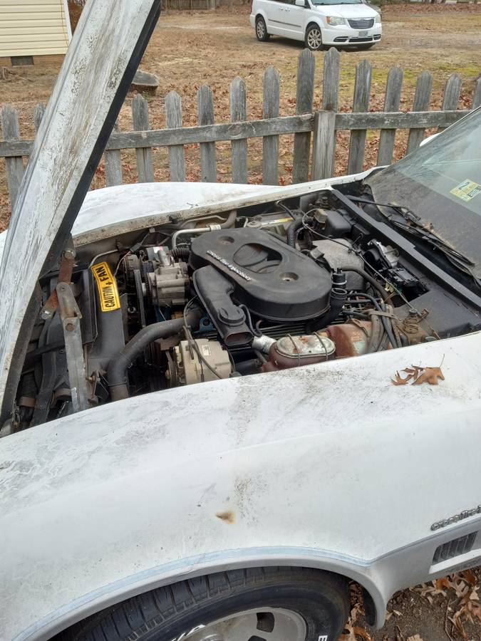 Chevrolet-corvette-coupe-1982-white-8