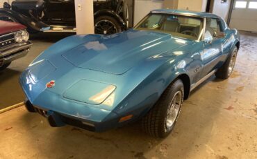 Chevrolet-corvette-stingray-1976-4