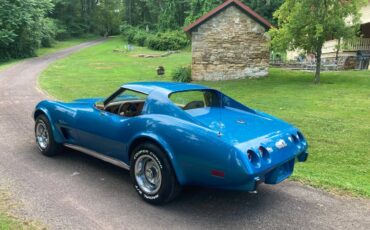 Chevrolet-corvette-stingray-1976-9