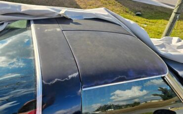 Chevrolet-corvette-stingray-1979-blue-7