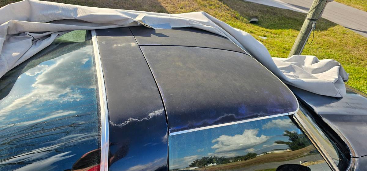 Chevrolet-corvette-stingray-1979-blue-7