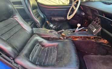 Chevrolet-corvette-stingray-1979-blue-9