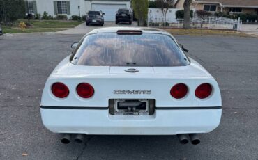 Chevrolet-corvette-targa-1990-white-8