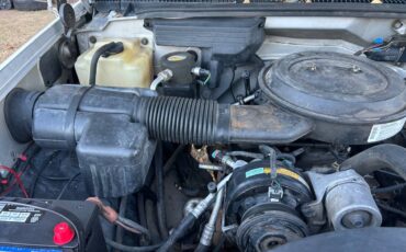 Chevrolet-dully-1994-white-12