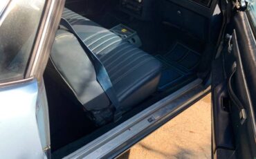 Chevrolet-el-camino-12-ton-1981-blue-2