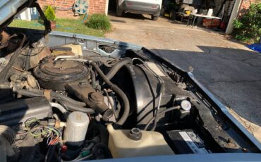 Chevrolet-el-camino-12-ton-1981-blue-4