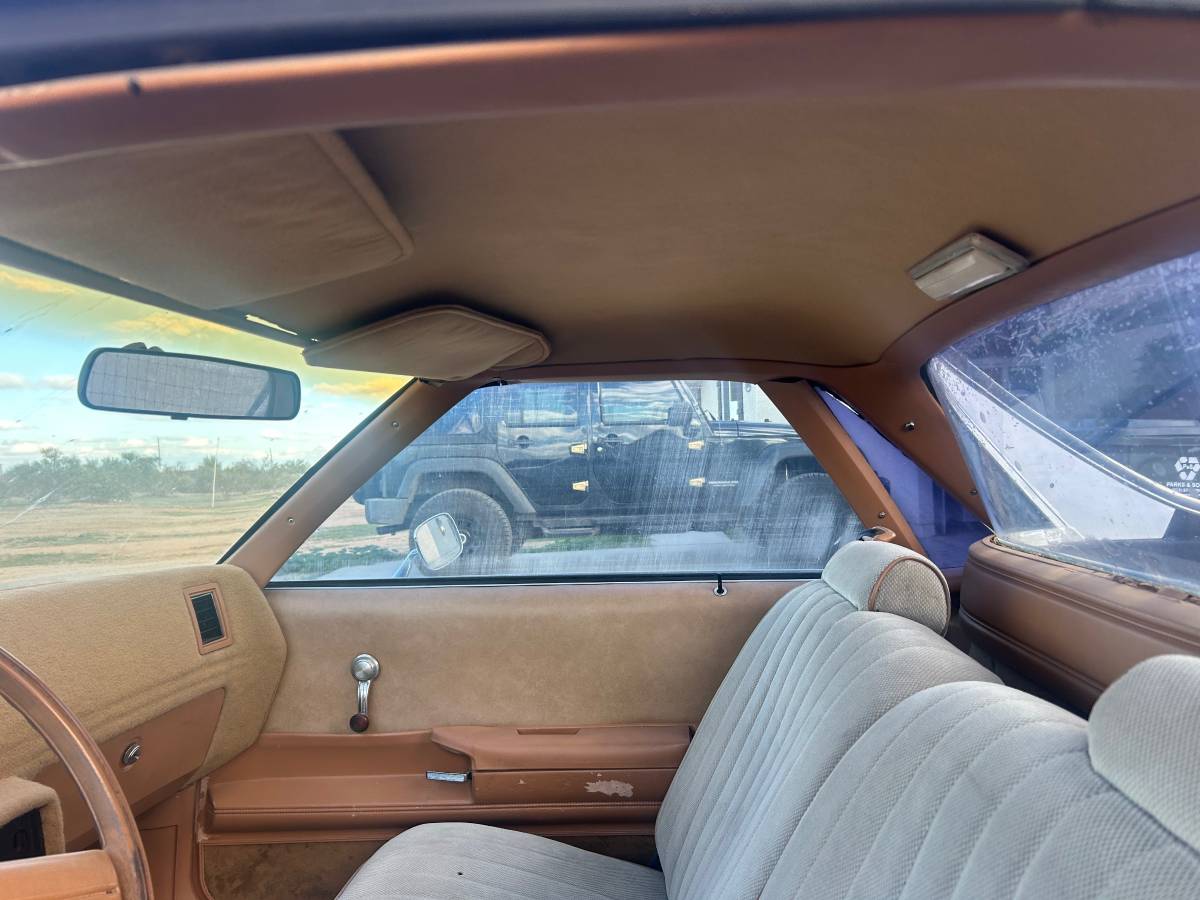 Chevrolet-el-camino-1979-3