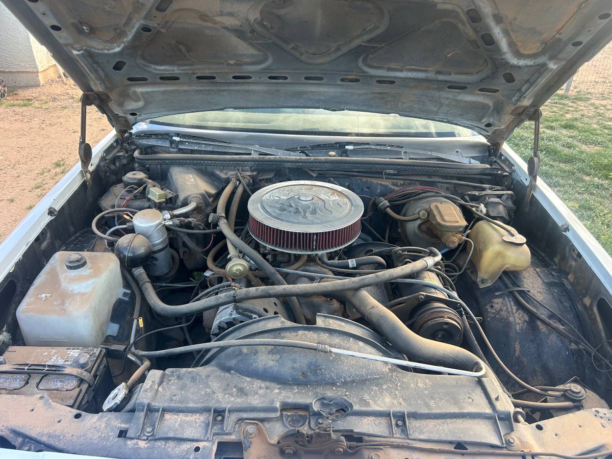 Chevrolet-el-camino-1979-5